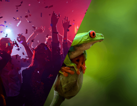 Tip Download De Beste Gratis Stockfoto S Nedfinity Small